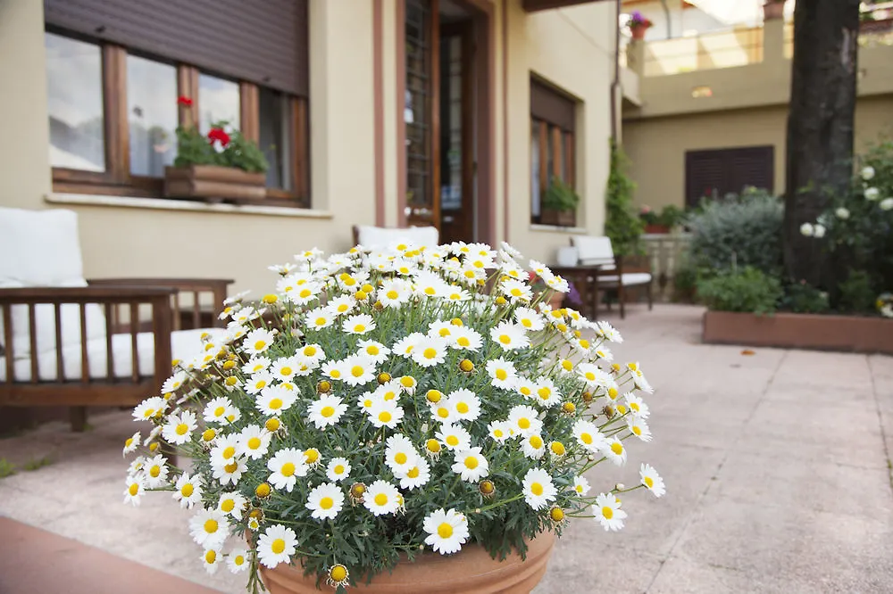 Hotel Giardino Lido di Camaiore 3*,